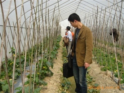 苦參堿殺菌劑——綠色植保新選擇，誠邀廣東地區經銷商合作共贏