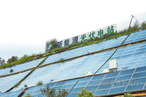 云南交投集團 以新質生產力賦能綠美通道經濟，推動種植技術開發創新